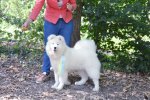 Meilleur Baby du Groupe 5 Dompierre-sur-Besbre 2019